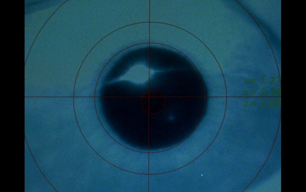 A blue-hued screen with an enlarged iris overlaid with a diagram of a target or viewfinder