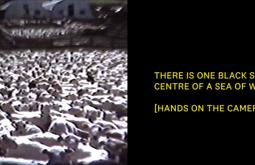 A screengrab of a 2 screen video. The left screen shows sheep, shot on 1980s home video. The right screen shows text describing the image and the action of the camera operator.