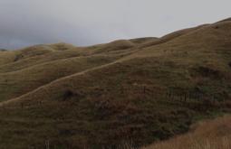 An image of a New Zealand farm land hillside. The land is barren of trees, with some scrub behind an old fence in the lower half of the image. The sky is grey, clouded and gloomy.